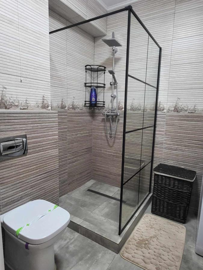 Sika Sunny Garden Apartment Arad Dış mekan fotoğraf