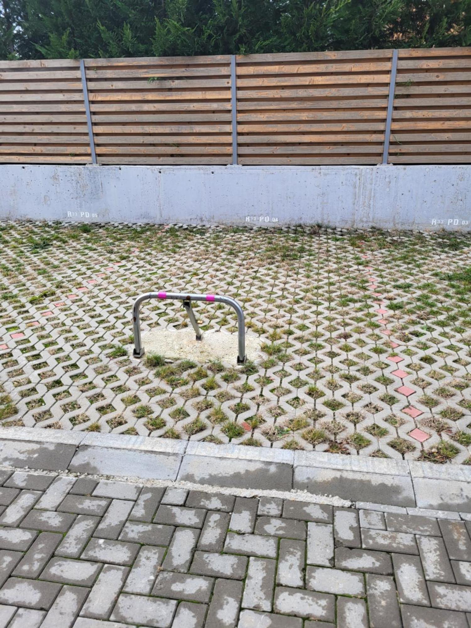 Sika Sunny Garden Apartment Arad Dış mekan fotoğraf